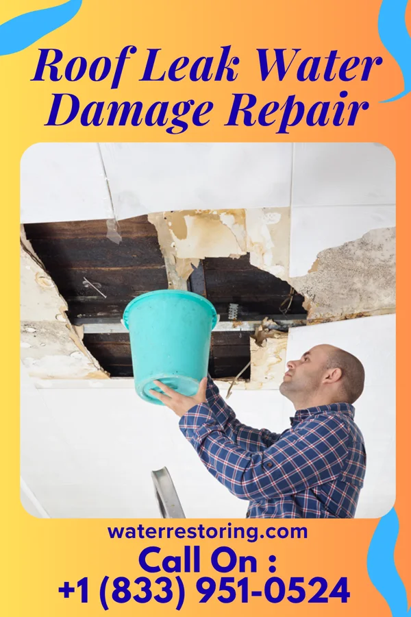 Roof Leak Water Damage Repair in Aurora Center, SD